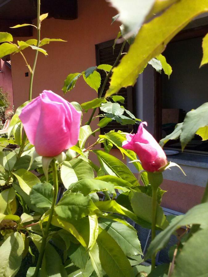 Bed and Breakfast Le ginestre Caselle Torinese Esterno foto